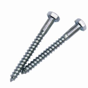Hex Coach Screw