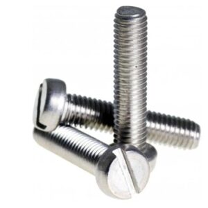 Cheese Head Slotted Screw